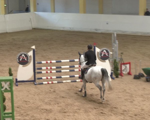Reitturnier Stadl-Paura 2024