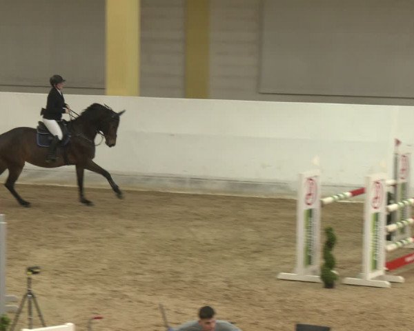 Reitturnier Stadl-Paura 2024