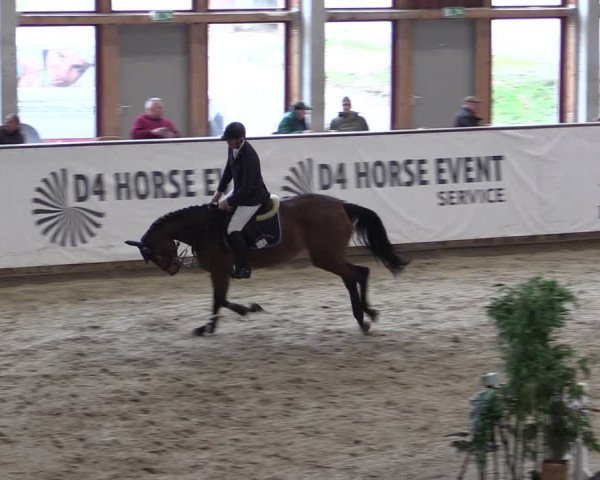 Reitturnier Prussendorf 2024