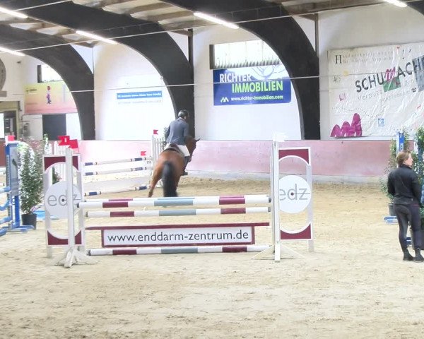 Reitturnier Viernheim 2024