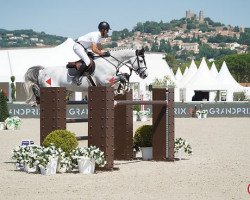 jumper Absolut de Lacke (Selle Français, 2010, from Diamant de Semilly)