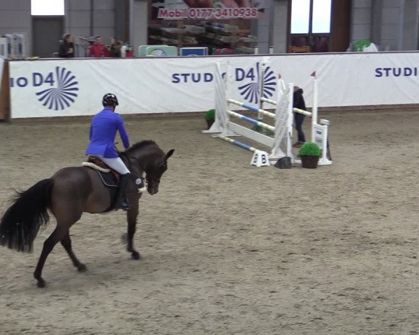 Reitturnier Prussendorf 2024