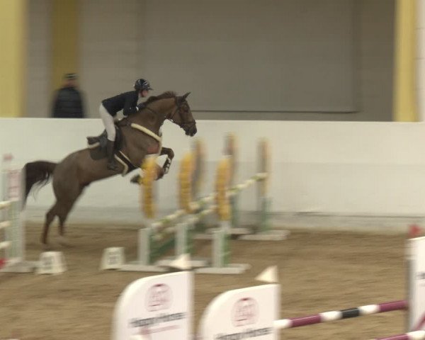 Reitturnier Stadl-Paura 2024