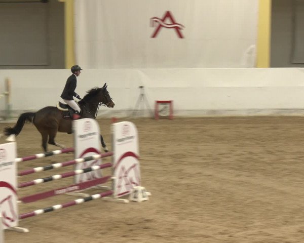 Reitturnier Stadl-Paura 2024
