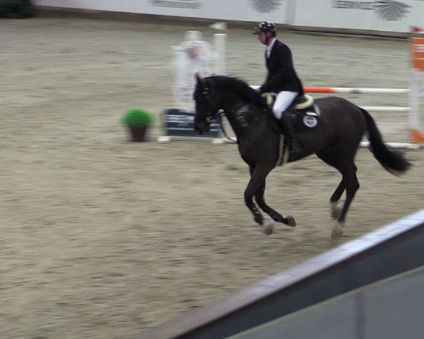 Reitturnier Prussendorf 2024