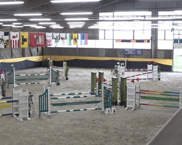 Reitturnier Erlen 2024
