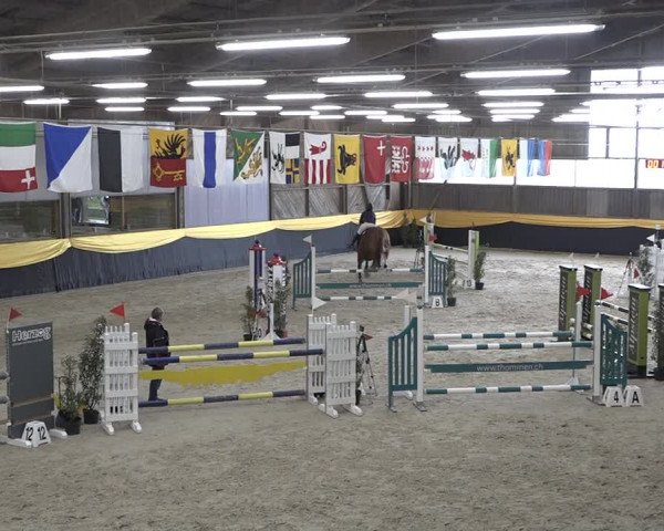 Reitturnier Erlen 2024