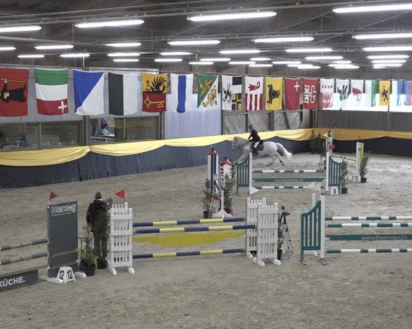 Reitturnier Erlen 2024