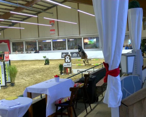 Reitturnier Borken 2024