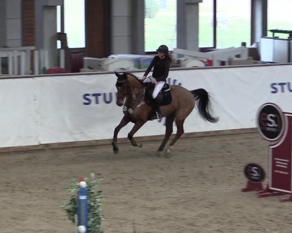 Reitturnier Prussendorf 2024