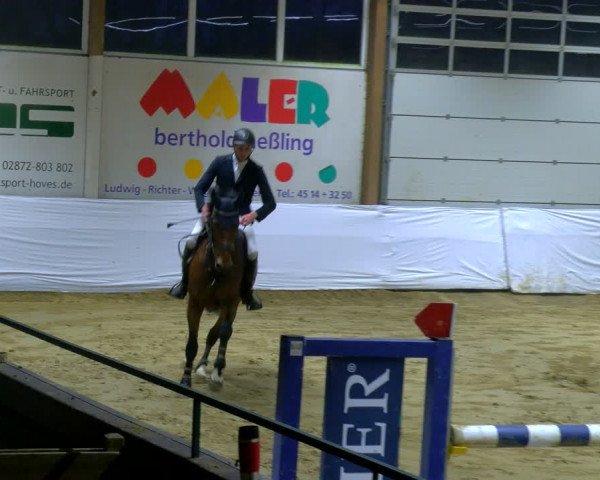 Reitturnier Borken 2024