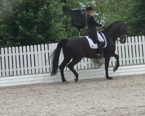 Riesenbeck INTERNATIONAL 2011