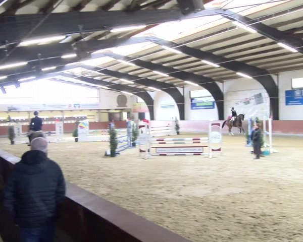Reitturnier Viernheim 2024