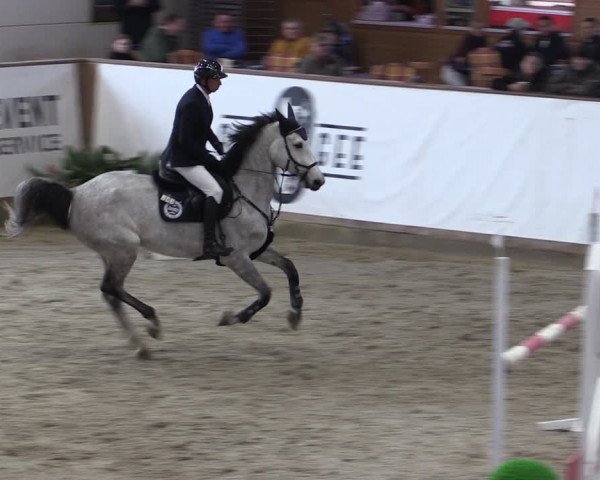 Reitturnier Prussendorf 2024