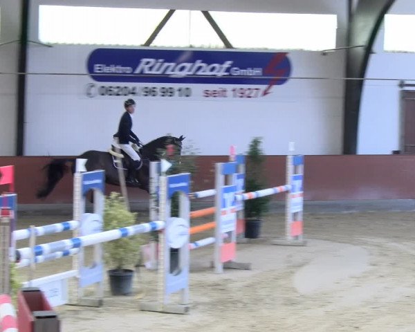 Reitturnier Viernheim 2024