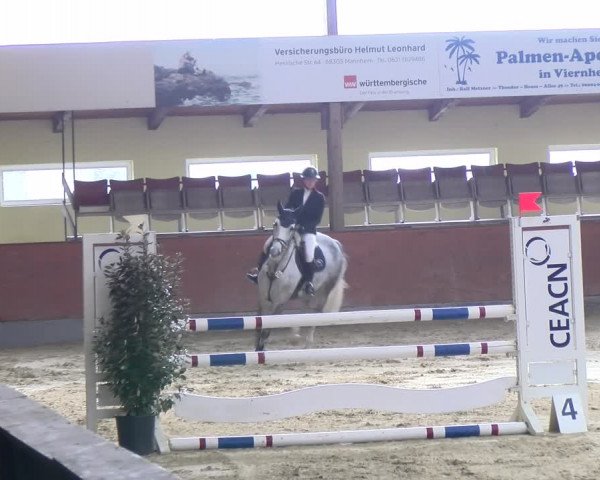 Reitturnier Viernheim 2024