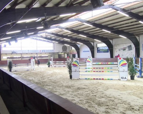 Reitturnier Viernheim 2024