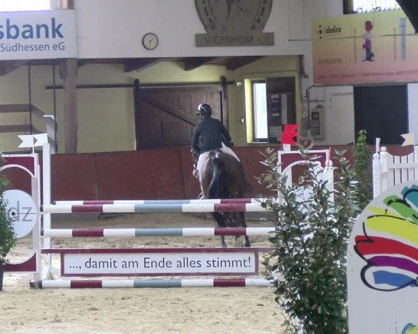 Reitturnier Viernheim 2024