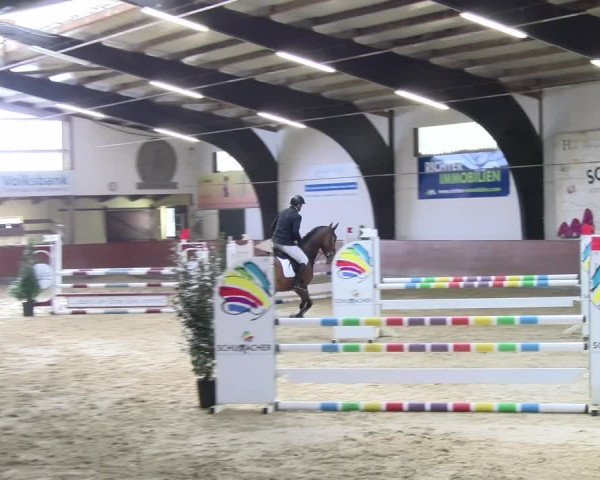 Reitturnier Viernheim 2024