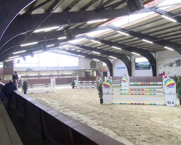 Reitturnier Viernheim 2024