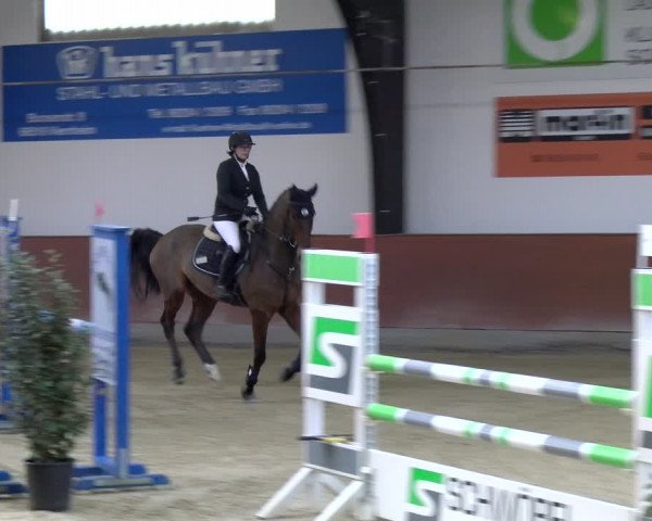 Reitturnier Viernheim 2024