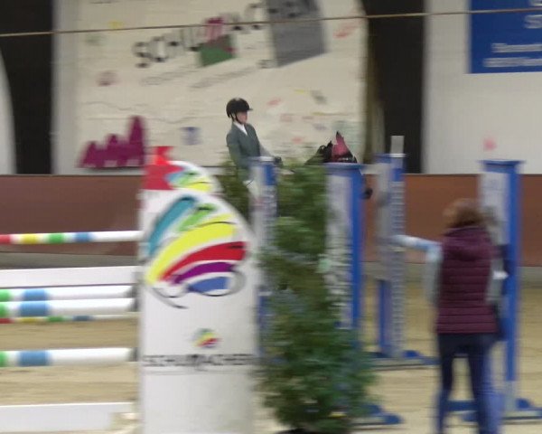 Reitturnier Viernheim 2024