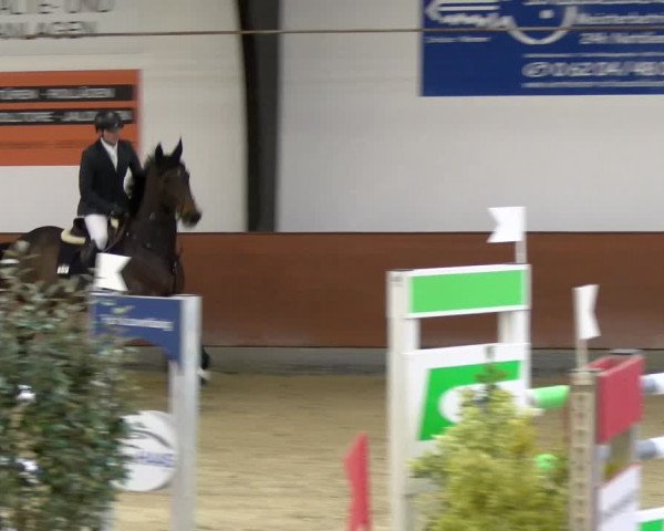 Reitturnier Viernheim 2024