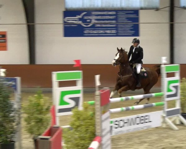Reitturnier Viernheim 2024