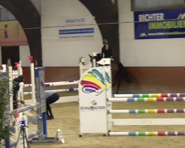 Reitturnier Viernheim 2024