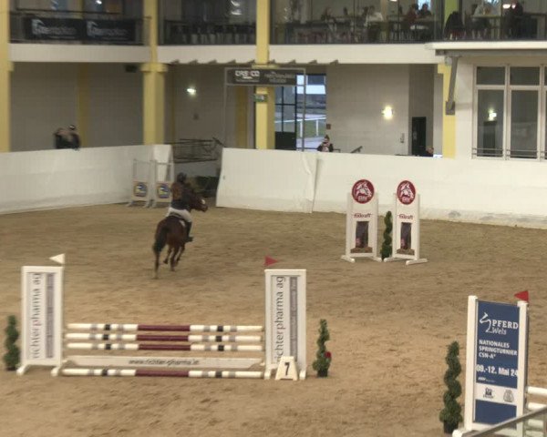 Reitturnier Stadl-Paura 2024