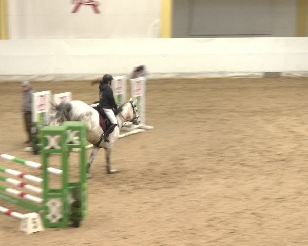 Reitturnier Stadl-Paura 2024