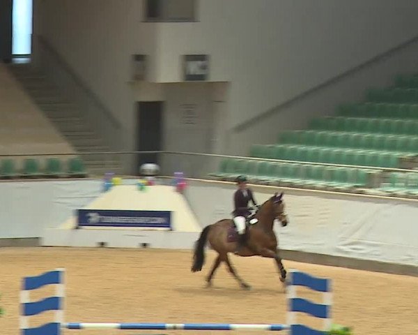 Reitturnier Kreuth/Opf. 2024