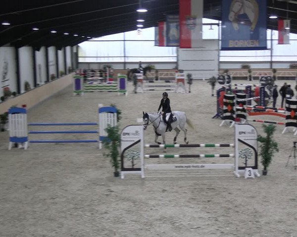 Reitturnier Borken 2024