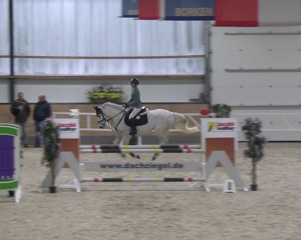 Reitturnier Borken 2024