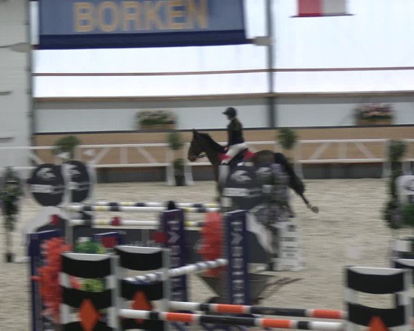 Reitturnier Borken 2024