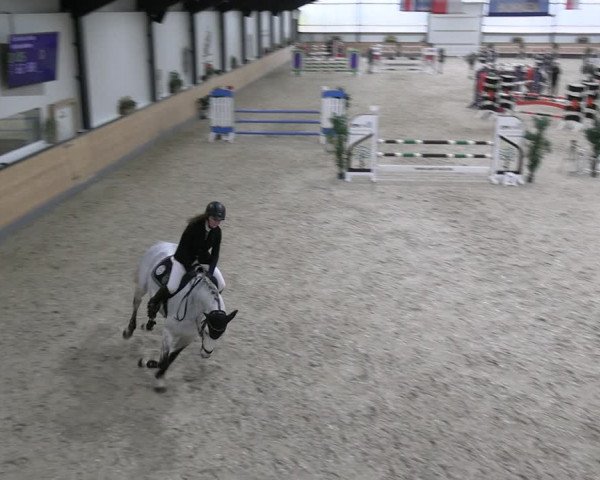 Reitturnier Borken 2024
