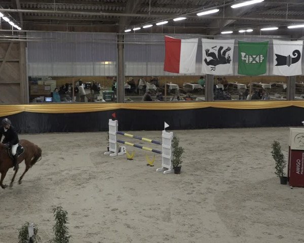 Reitturnier Erlen 2024