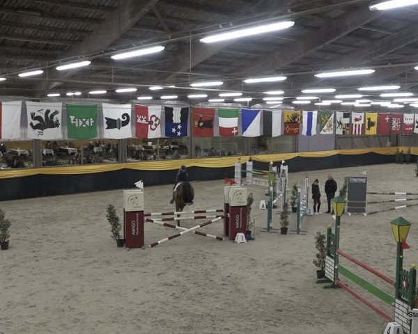 Reitturnier Erlen 2024