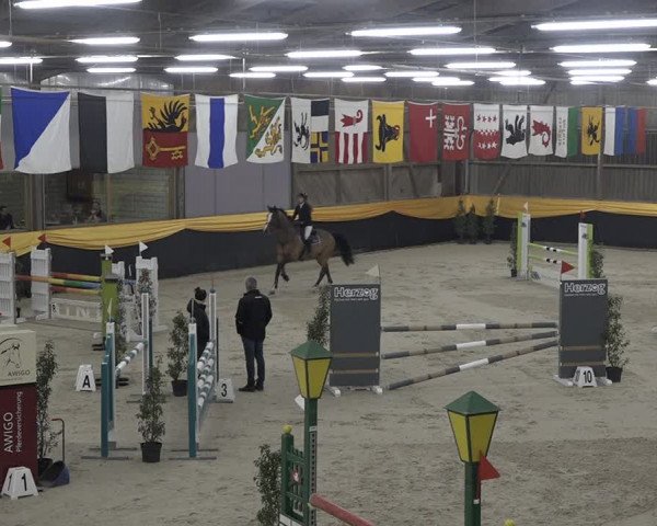 Reitturnier Erlen 2024