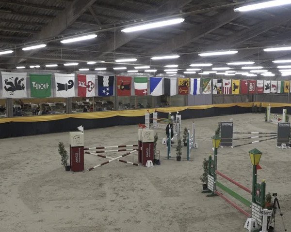 Reitturnier Erlen 2024