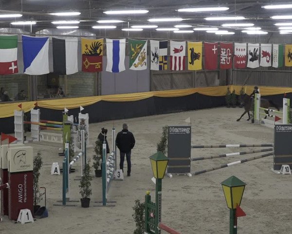 Reitturnier Erlen 2024