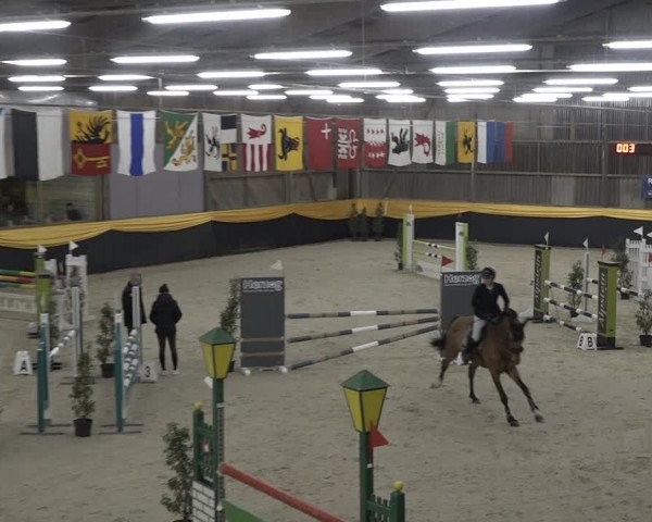Reitturnier Erlen 2024