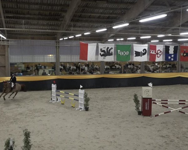 Reitturnier Erlen 2024