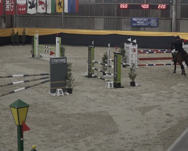 Reitturnier Erlen 2024