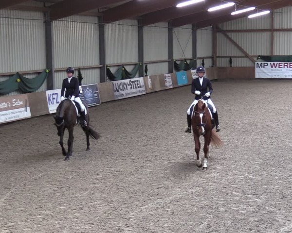 Reitturnier Hesel 2024