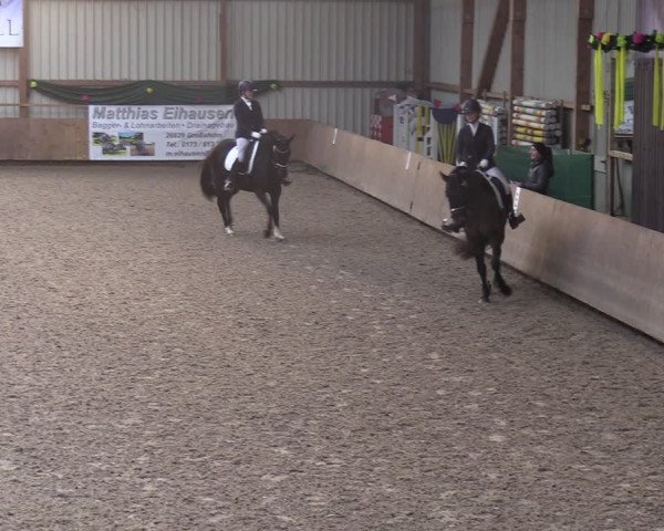 Reitturnier Hesel 2024