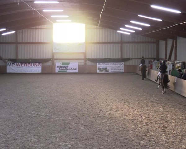 Reitturnier Hesel 2024