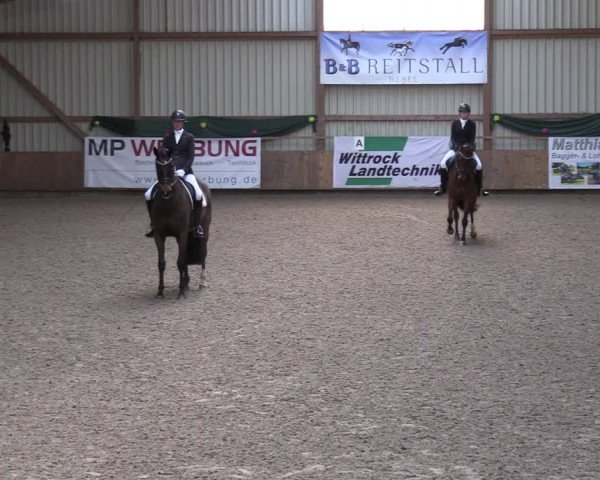 Reitturnier Hesel 2024