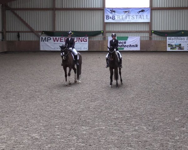 Reitturnier Hesel 2024