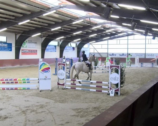 Reitturnier Viernheim 2024